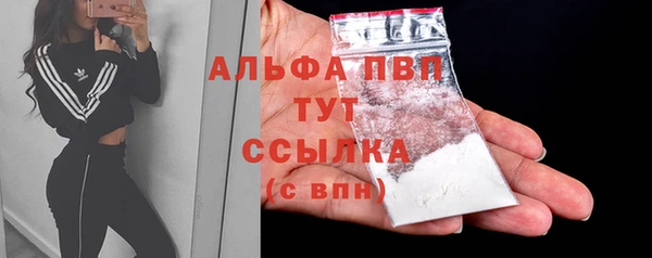 сатива Лагань