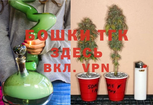 сатива Лагань