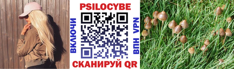 наркотики  Новокузнецк  кракен вход  Псилоцибиновые грибы Magic Shrooms 