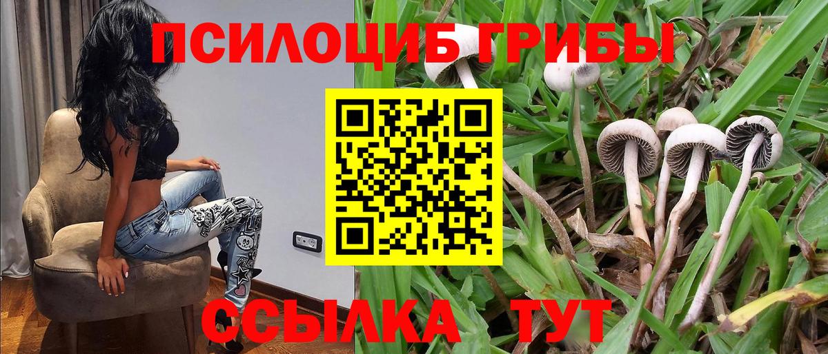 Псилоцибиновые грибы MAGIC MUSHROOMS Новокузнецк